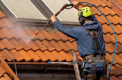 Démoussage et hydrofuge de toiture à Guécélard